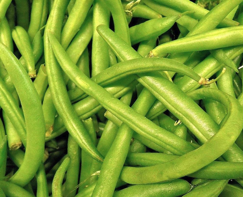 Green Beans Whole Fine, IQF