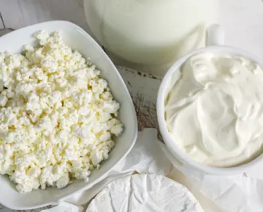 Dairy